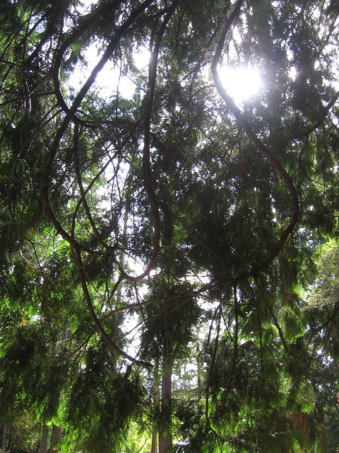 Metzger Park