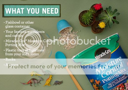 Toyrarium Project by Miracle Gro