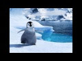[最も共有された！ √] 可愛い ペンギン 画像 291236