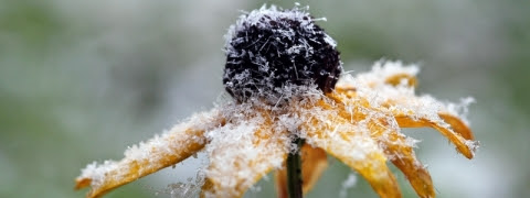 Trauerrede Fur Die Mutter Muster Gedichte Beileid De