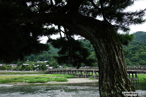 2012_Summer_Kansai_Japan_Day4-83
