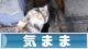 にほんブログ村 その他日記ブログ 気ままへ