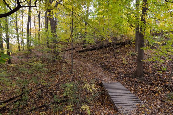 Hiking Trails Toronto