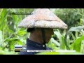 Video Petani dan UMKM go digital! 