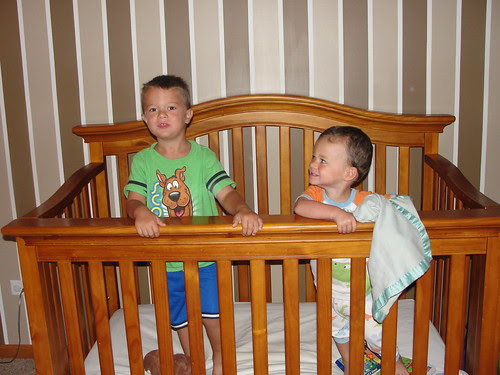 miranda20120829 by gazoogle