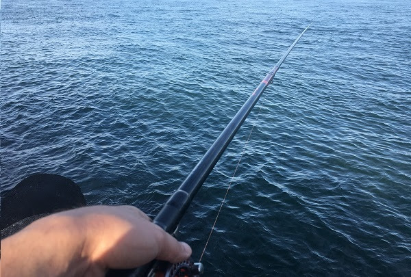 前打ち釣り講座 前打ちとはどんな釣り方 釣りやろうぜ 初心者の為の釣りhow To