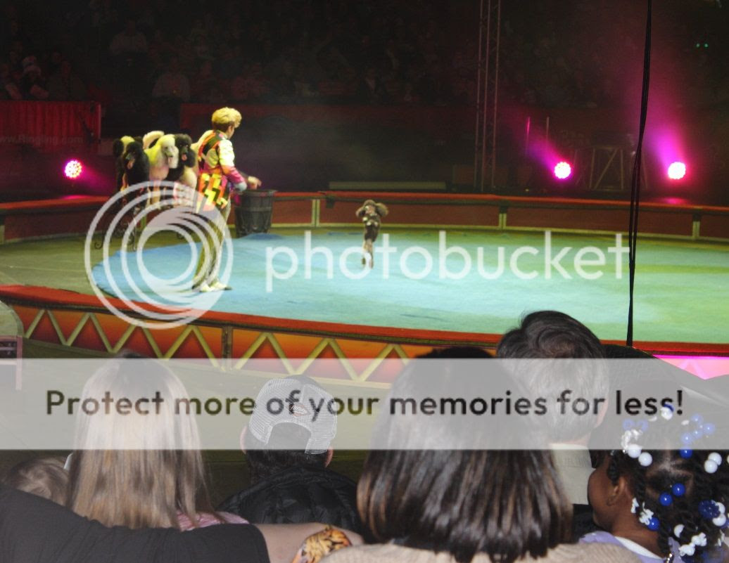  photo circus20_zpsac2fa1f3.jpg