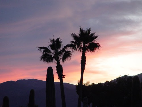 Arizona Sunset