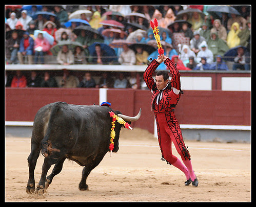 Javier Gil