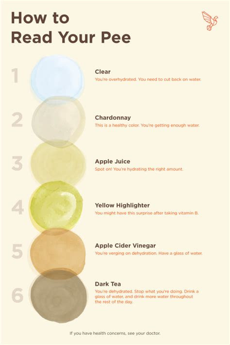 The following things can cause your urine to look orange: early pregnancy urine color clear