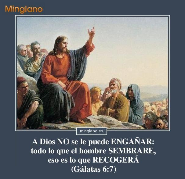 FRASES de SEMBRAR y RECOGER en la VIDA