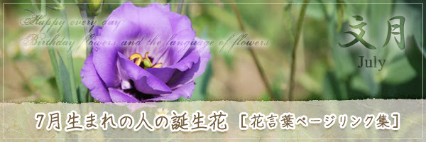 7月生まれの人の誕生花 の花言葉 誕生花 チルの工房 无域屋 花札庵