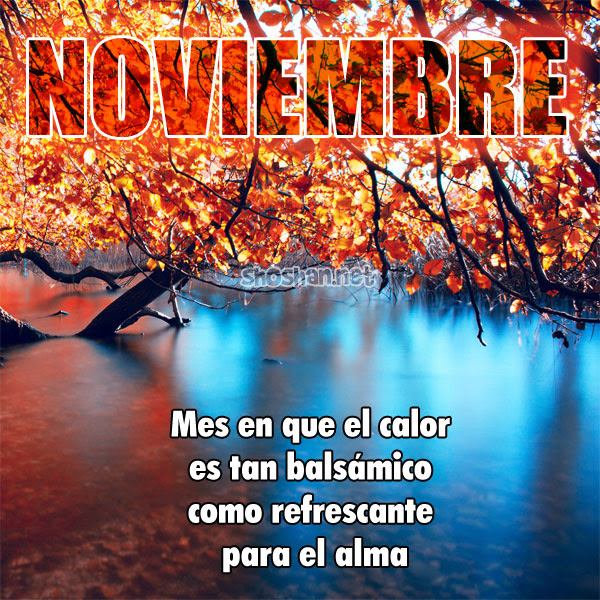 bienvenido_noviembre_2014