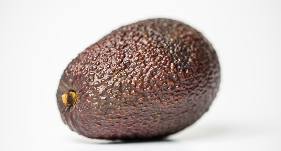 Avocado Growing In Central Texas Backbone Valley Nursery