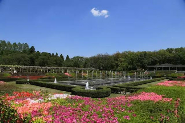 东京 神代植物园