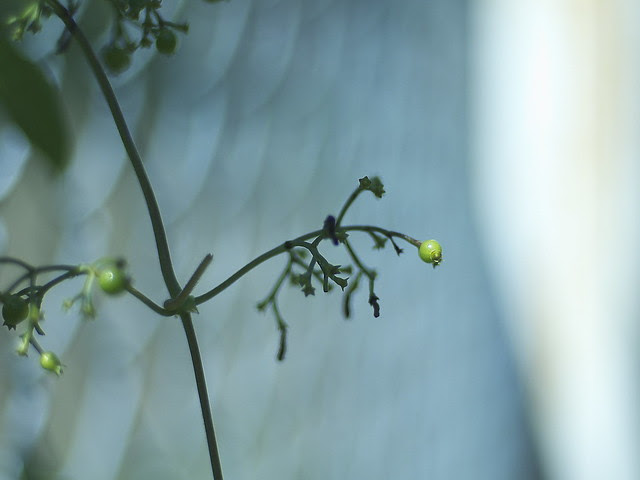 _9102149