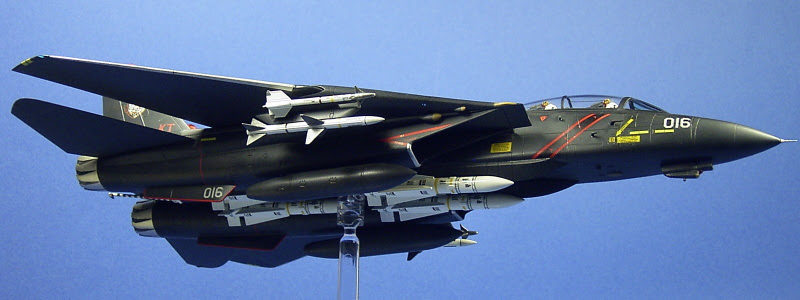 Gallery F 14b Tomcat Blaze