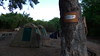 Day 26 to 27: Chobe national park, Botswana