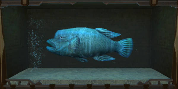 アクアリウム 水槽 について 夢でもff14