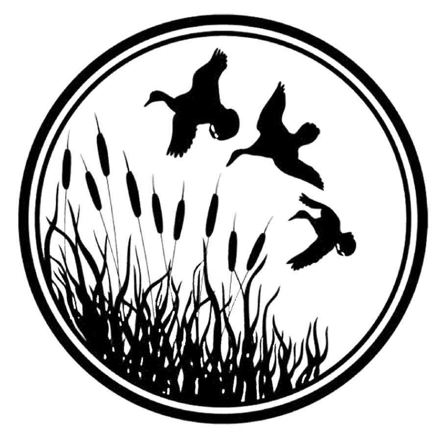 Download Waterfowl clipart - Clipground