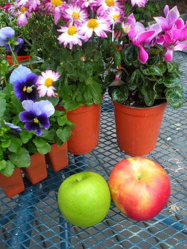Apples and Flowers