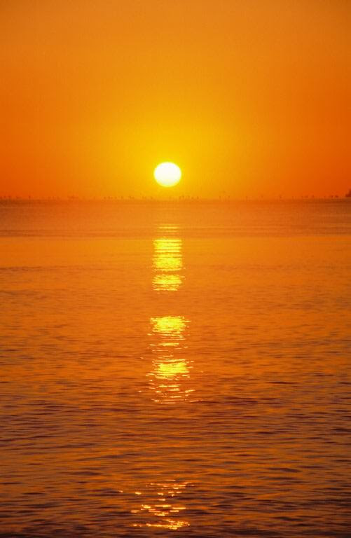 Published December 29, 2010 at 501 × 768 in Hair Care 101: Sun 