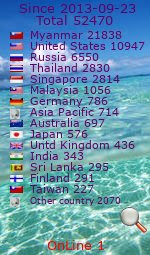 website visitor counter