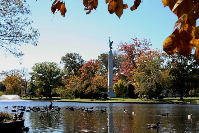 Autumn Morning At Edgemont Park