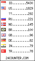 visitors by country counter