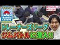 【人気ダウンロード！】 ポケモン トレーナー エンカウント 236472