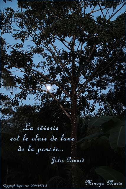 Au Pays Des Images Et Des Mots Citation D Ecrivain Jules Renard La Reverie