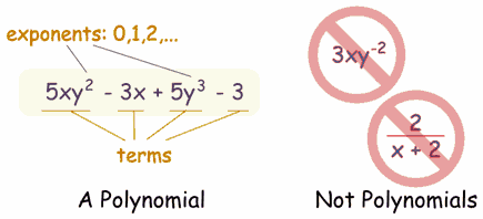Image result for polynomials
