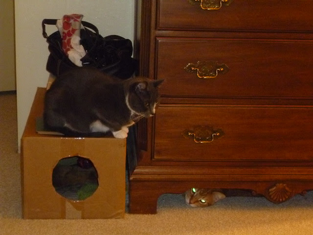 2012_08_27 EMMABUSTER 003