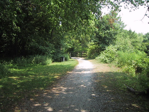 111-1104_IMG