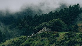 nature aesthetic wallpaper 4k Aesthetic nature desktop wallpapers
wallpaper road