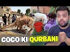 Coco Ki Qurbani | Shippu Ko Azadi Mil Gayi – Ducky Bhai's Emotional Twist