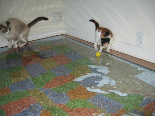 I'm in Yr Province...