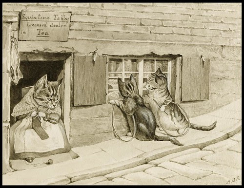 Squintina Tabby - Licensed dealer in Tea