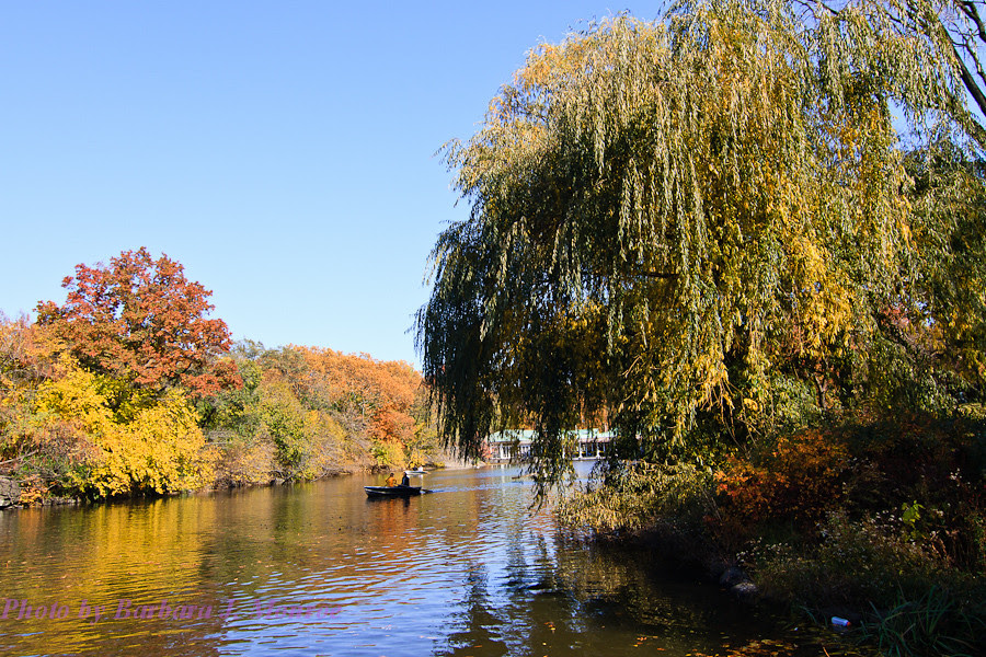 Central Park (10 of 16)