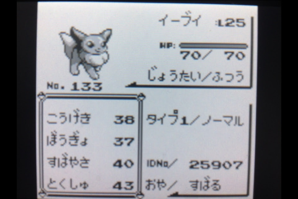 うさぎの隠れ家 ポケットモンスターを遊びつくす日記 第5話