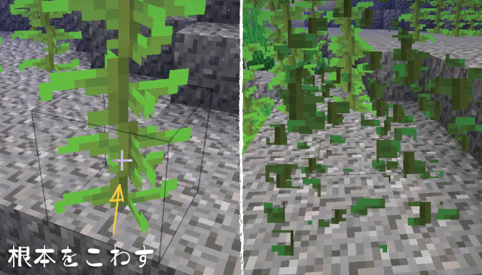 マインクラフト コンブの栽培 入手方法と意外と便利な昆布ブロックの使い道 マイクラモール