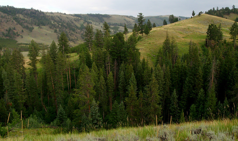 North Yellowstone National Park