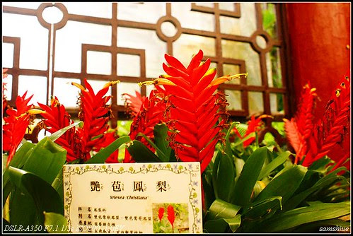 DSC02044