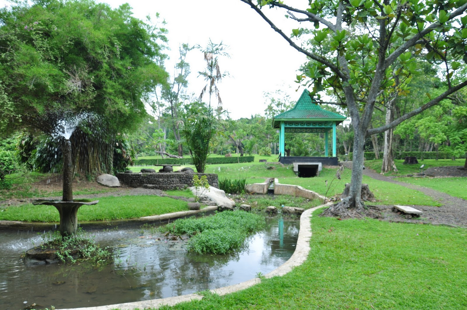 sejarah berdirinya kebun raya purwodadi - Tempat Wisata | Foto Gambar