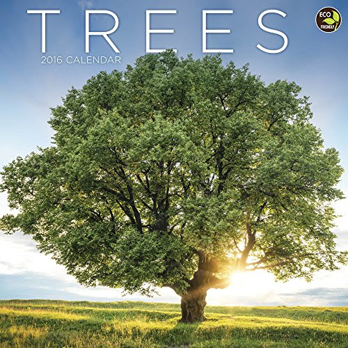 2016 Trees Wall Calendar, by TF Publishing