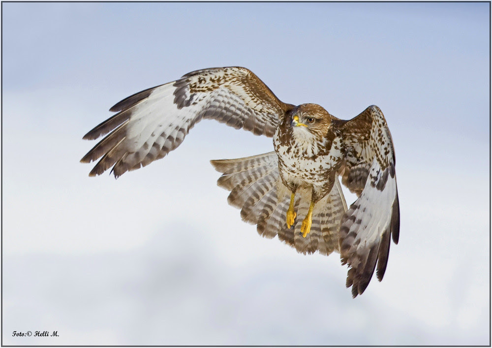 nature photography, view community,