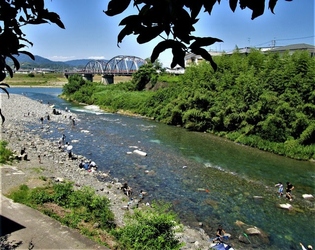 夏日の川遊び楽しむ 九度山 丹生川 梅雨の中休み 高野山麓 橋本新聞