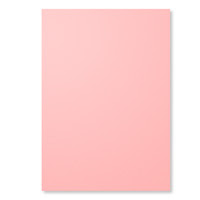 Card Stock A4 Blushing Bride