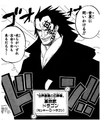 ワンピースでルフィの家族構成は 父親 母親 兄弟を紹介 Legend Anime