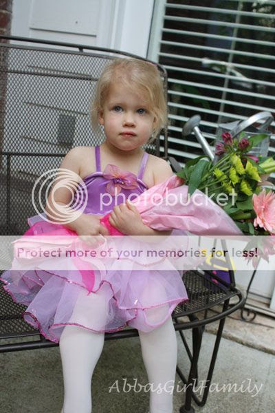  photo IMG_6855_zps8ee48d97.jpg